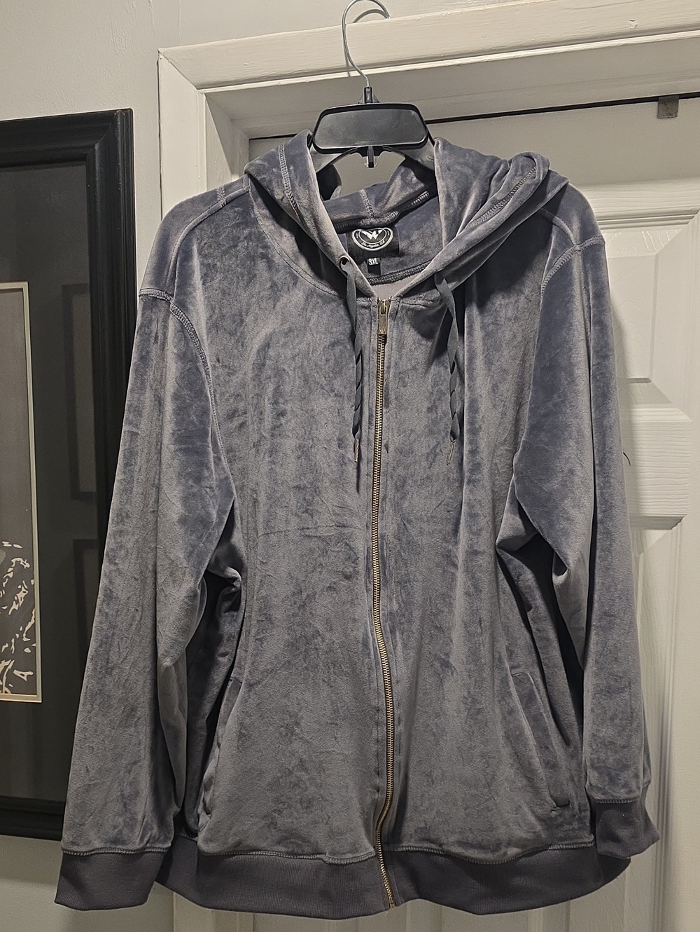 Velour Zip-Up Hoodie Jacket - Gray